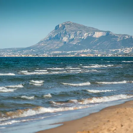 Forsitia By On Travel *